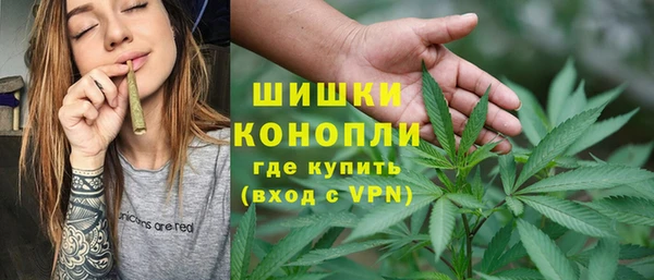 PSILOCYBIN Баксан