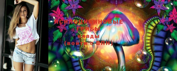 PSILOCYBIN Баксан