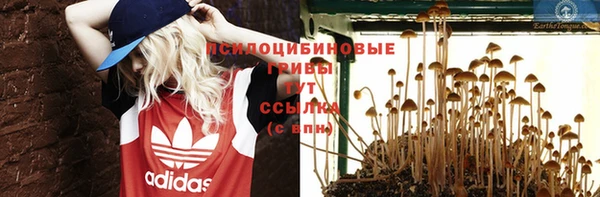 PSILOCYBIN Баксан