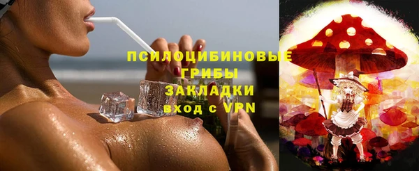 винт Балахна
